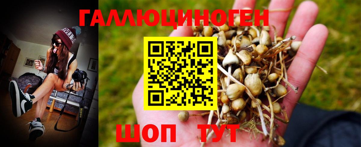 Галлюциногенные грибы Cubensis Клин
