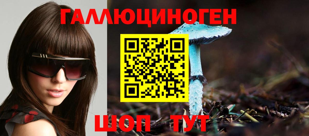 Псилоцибиновые грибы Psilocybine cubensis  Вход с VPN  Клин 