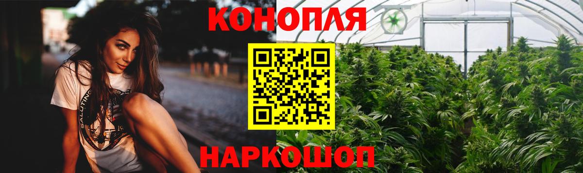 Бошки Шишки сатива Клин